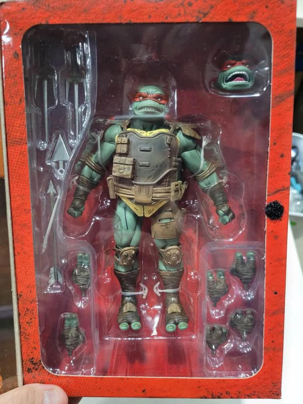 The Last Ronin Raphael