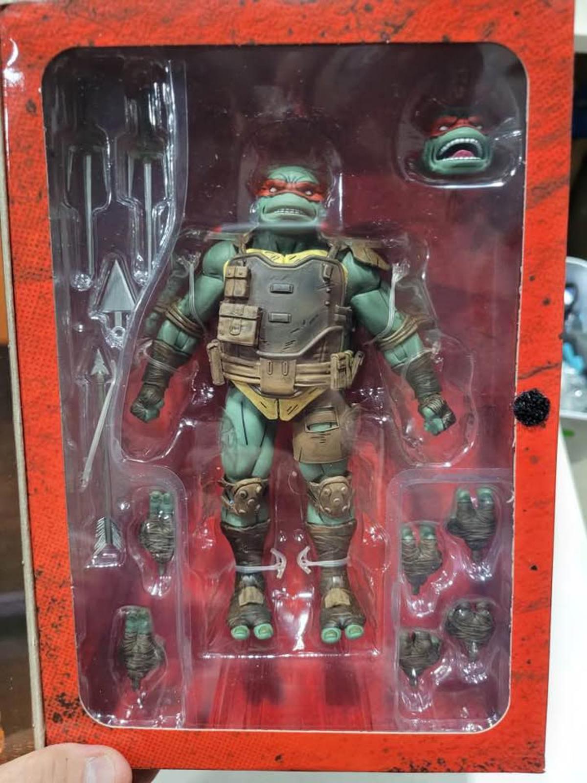 The Last Ronin Raphael